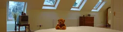 Teddy bear in loft conversion bedroom